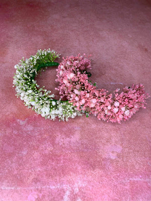 Baby's Breath Blooms