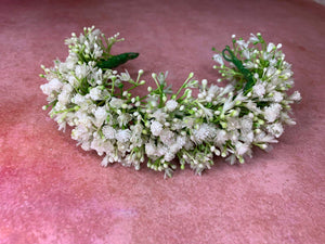 Baby's Breath Blooms